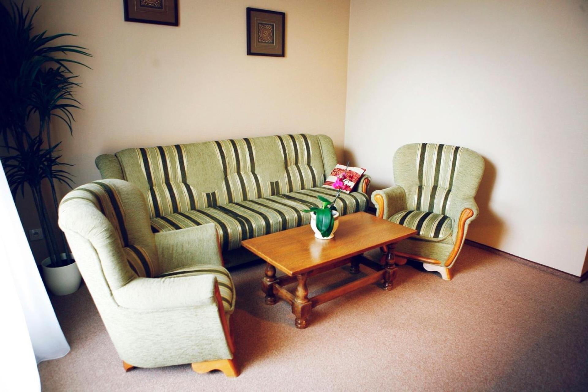 One-Bedroom Apartment with Sofa Bed
