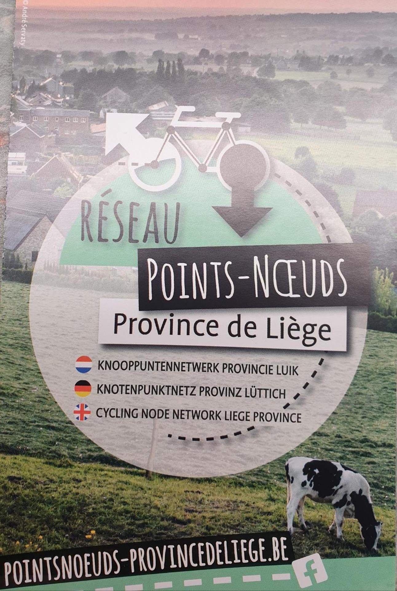 Logo/Certificate/Sign