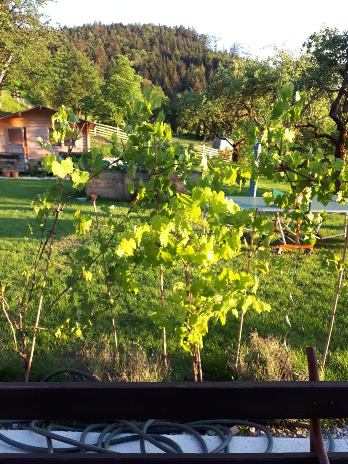 Landhaus Ziegelstadel