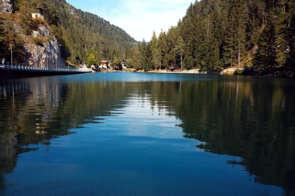 Residence Bellavista