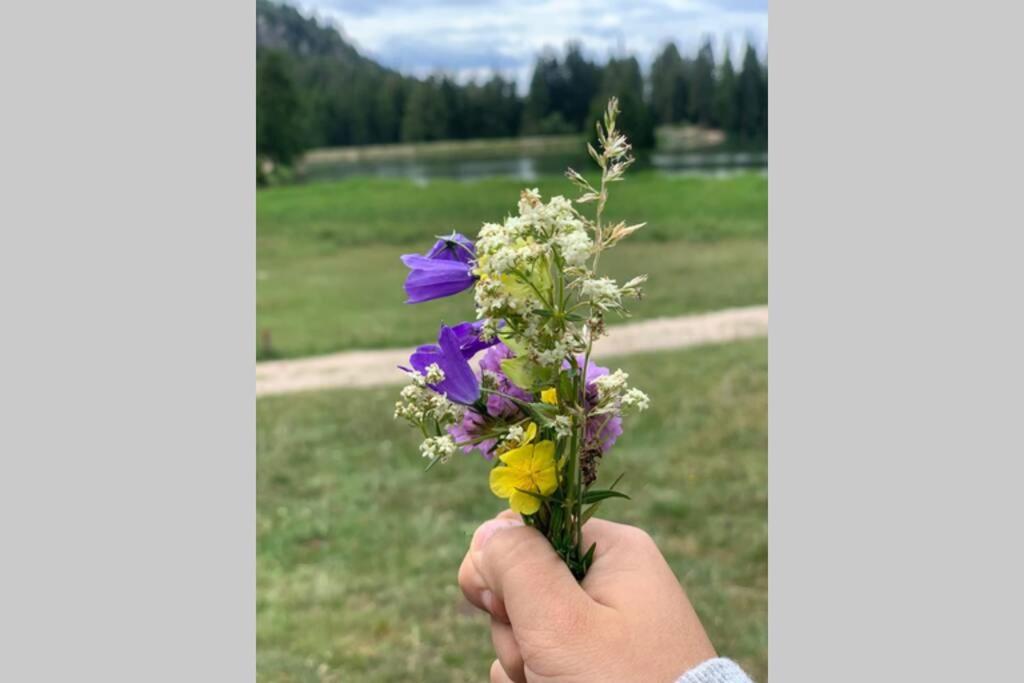 Residence Bellavista