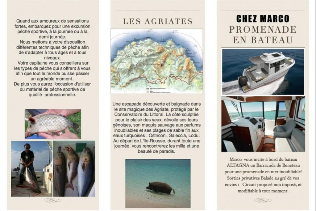 Chez Marco Gîte & SPA U FILANCIU