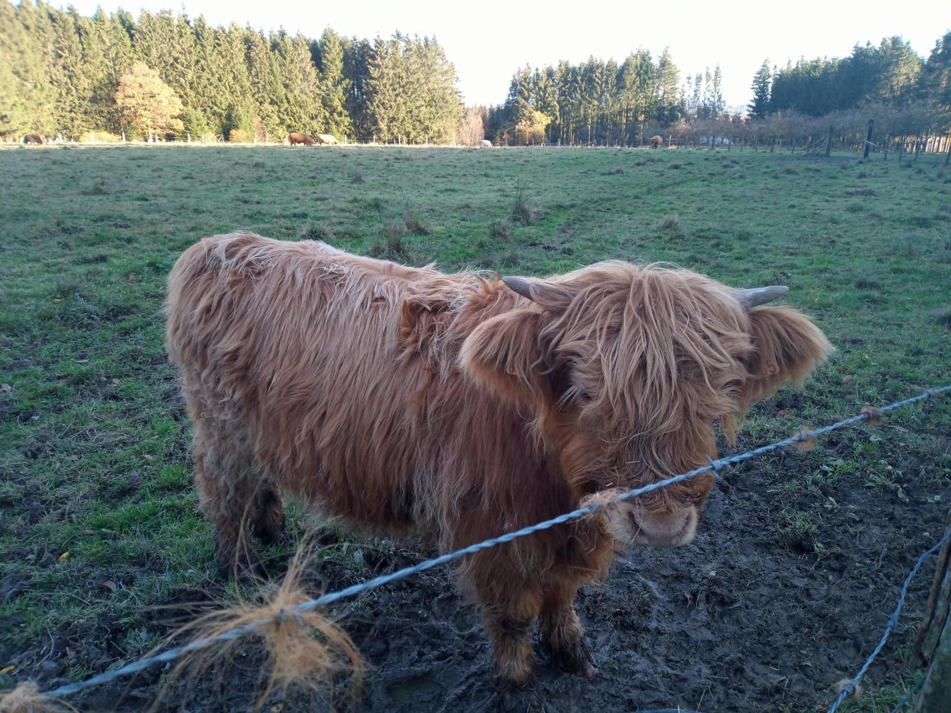 vakantieverblijf Nature