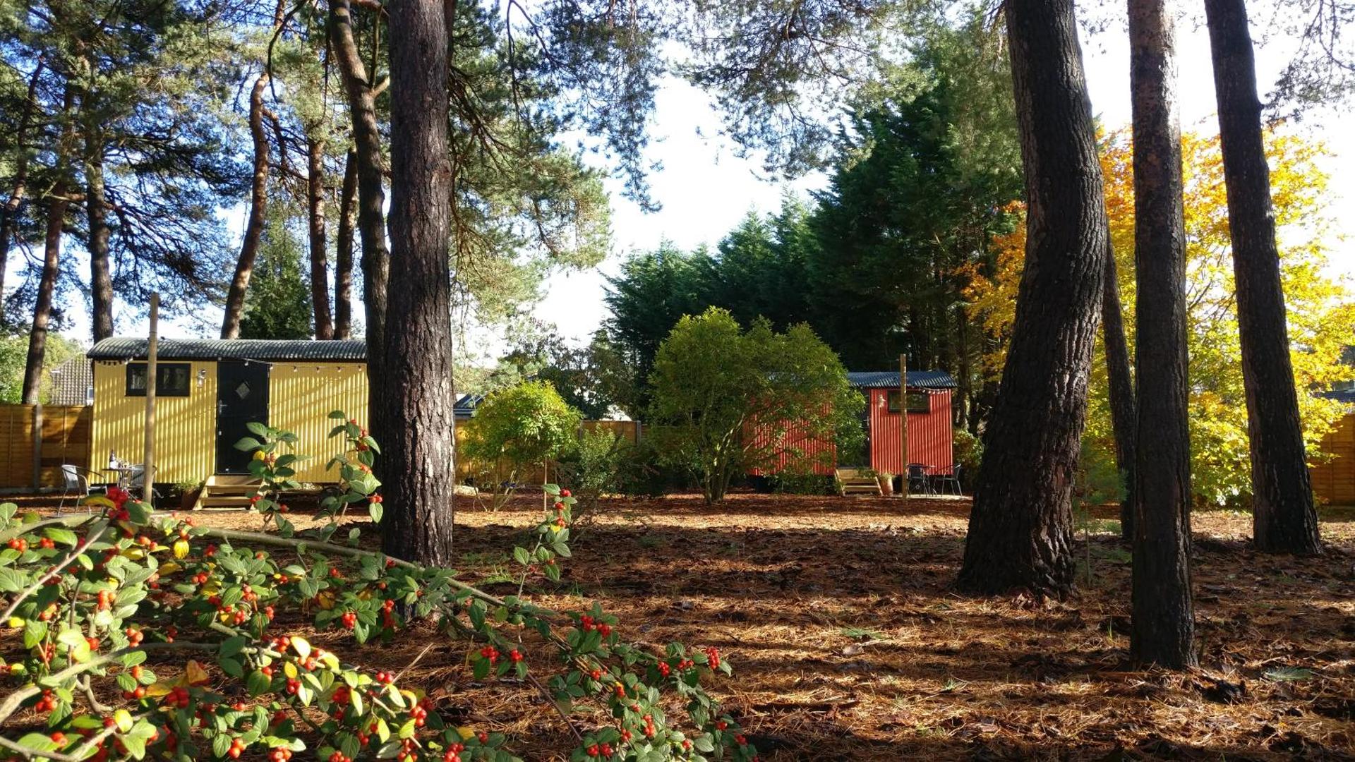 Forest Heath Shepherd's Huts