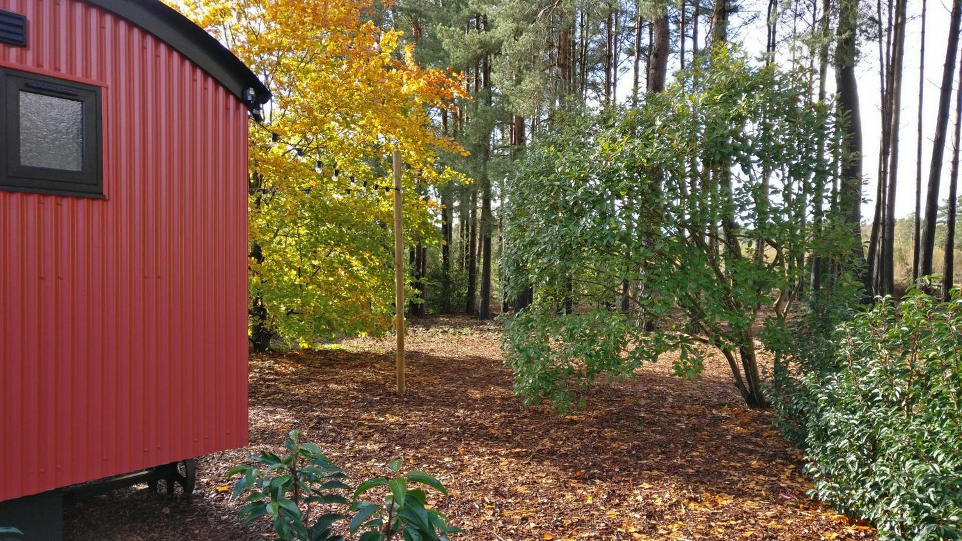 Forest Heath Shepherd's Huts