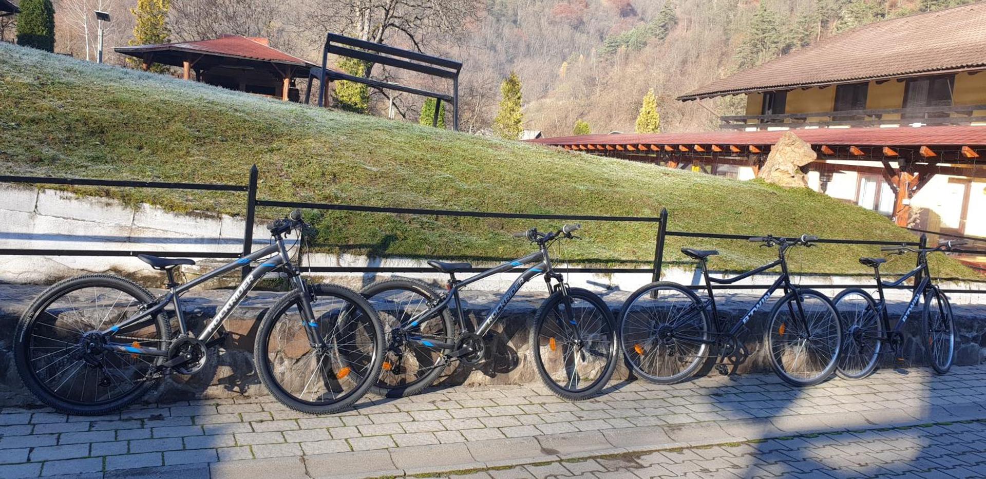 Pensiunea Rau Sadului