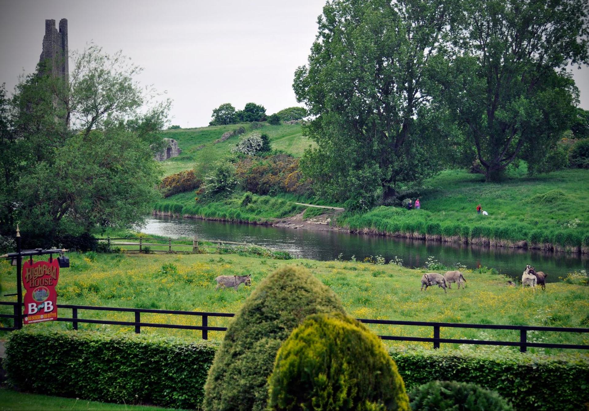 View (from property/room)