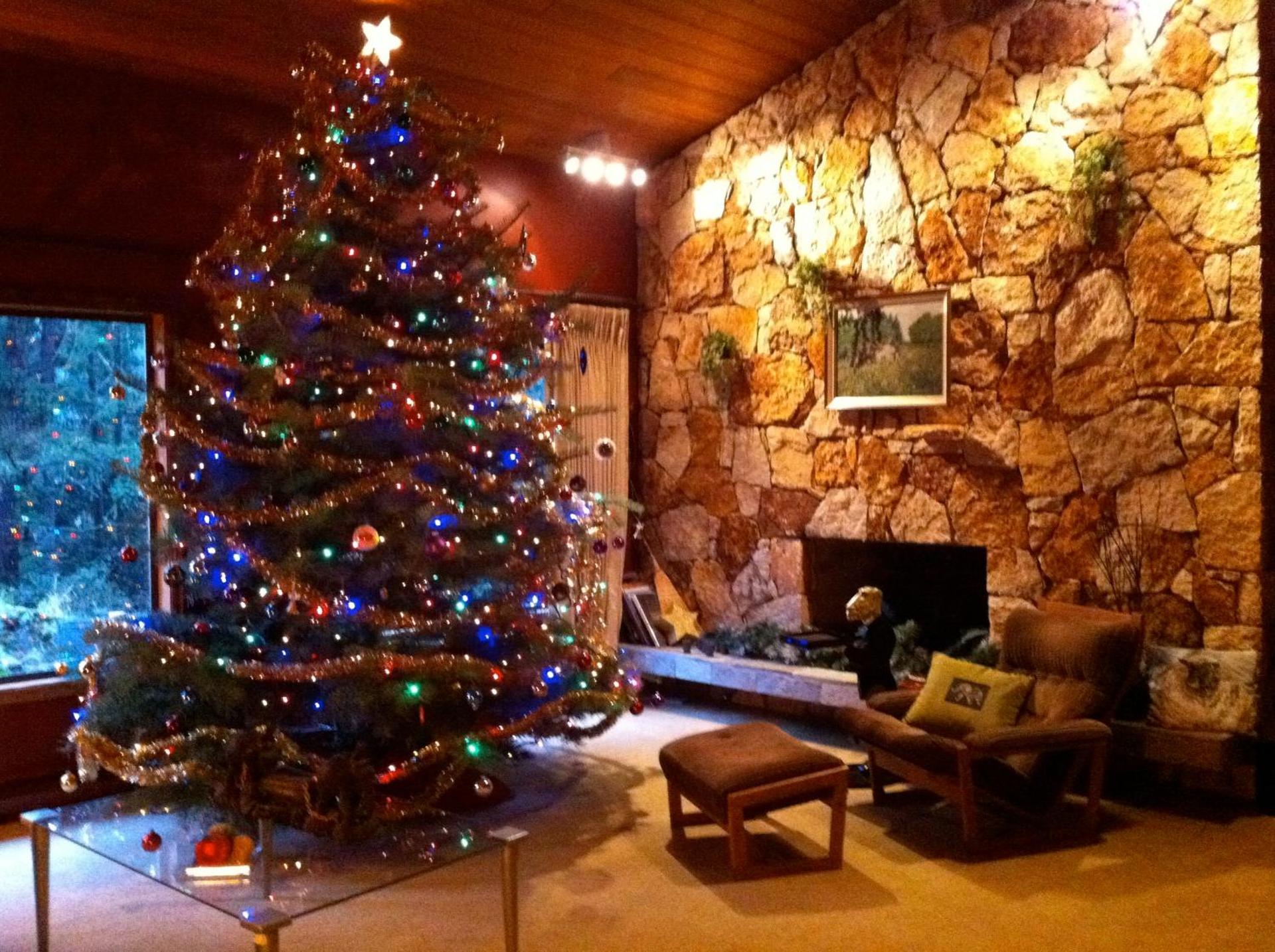 Misty Meadows B and B