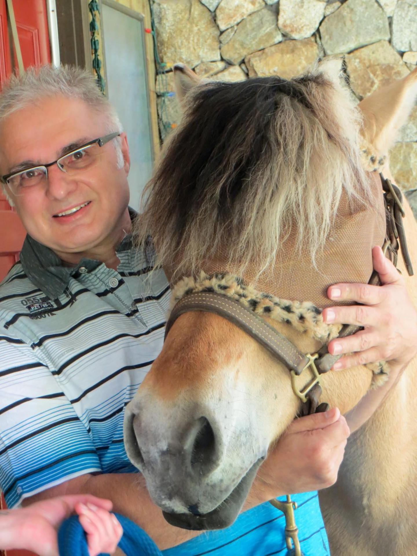 Misty Meadows B and B