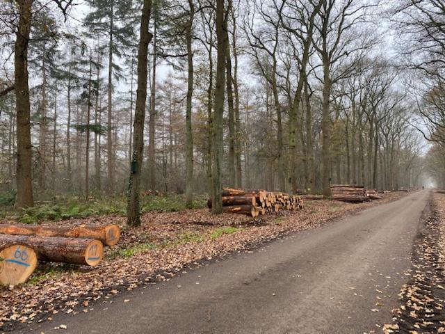 Bed and breakfast de Boerderij