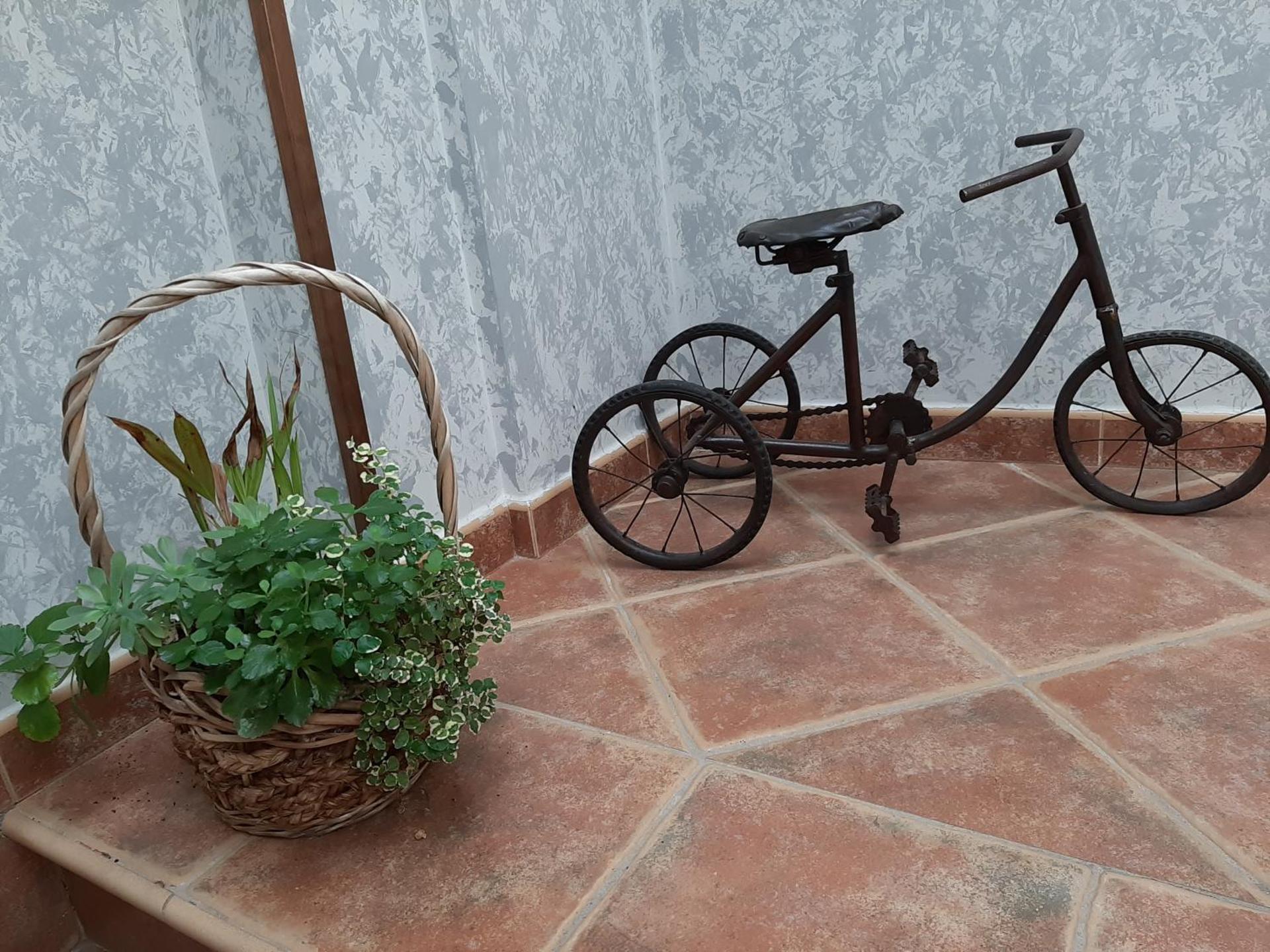 Apartamentos Rurales Esencias De La Alcarria