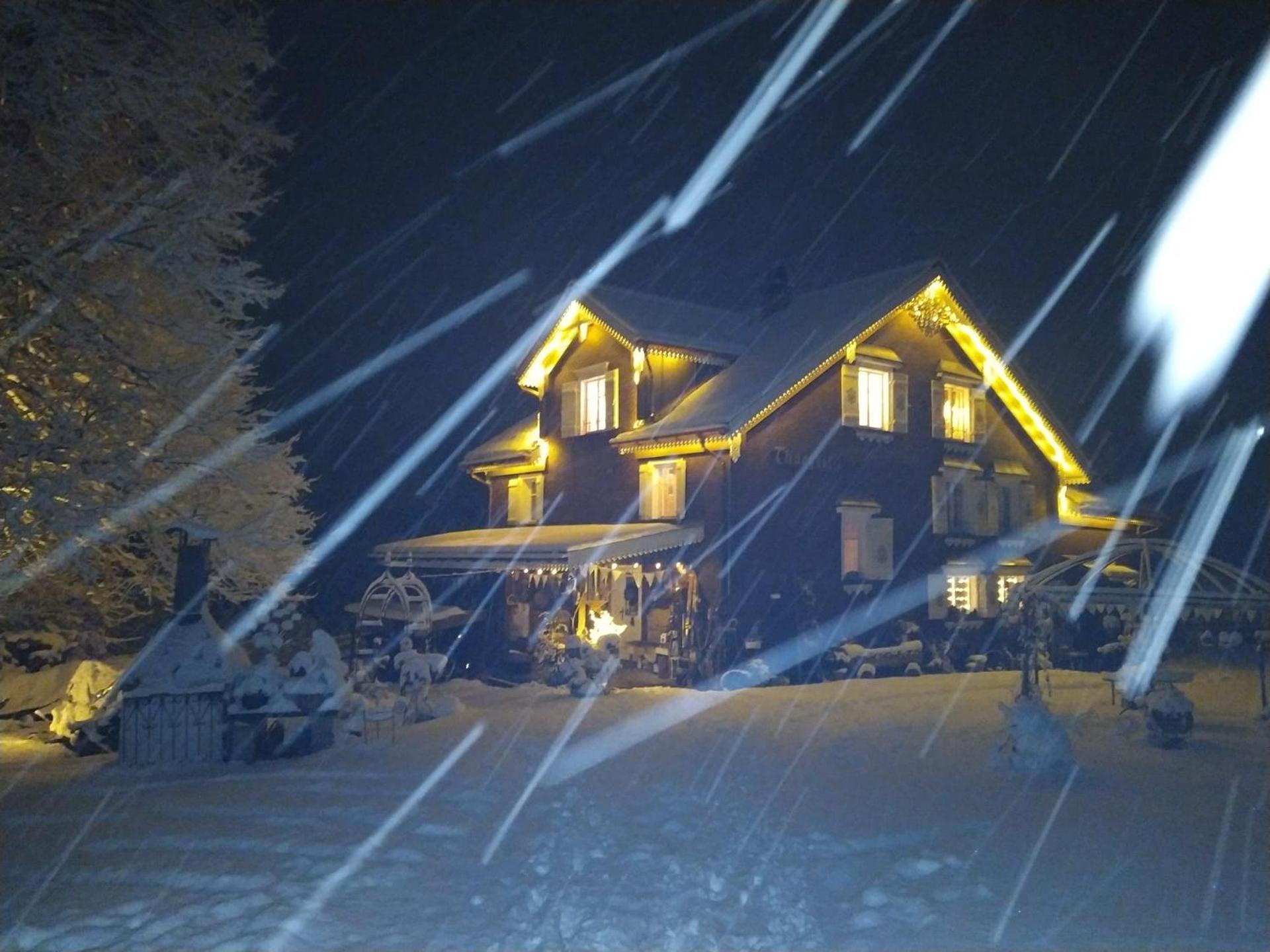 Studio Chic Wildhaus