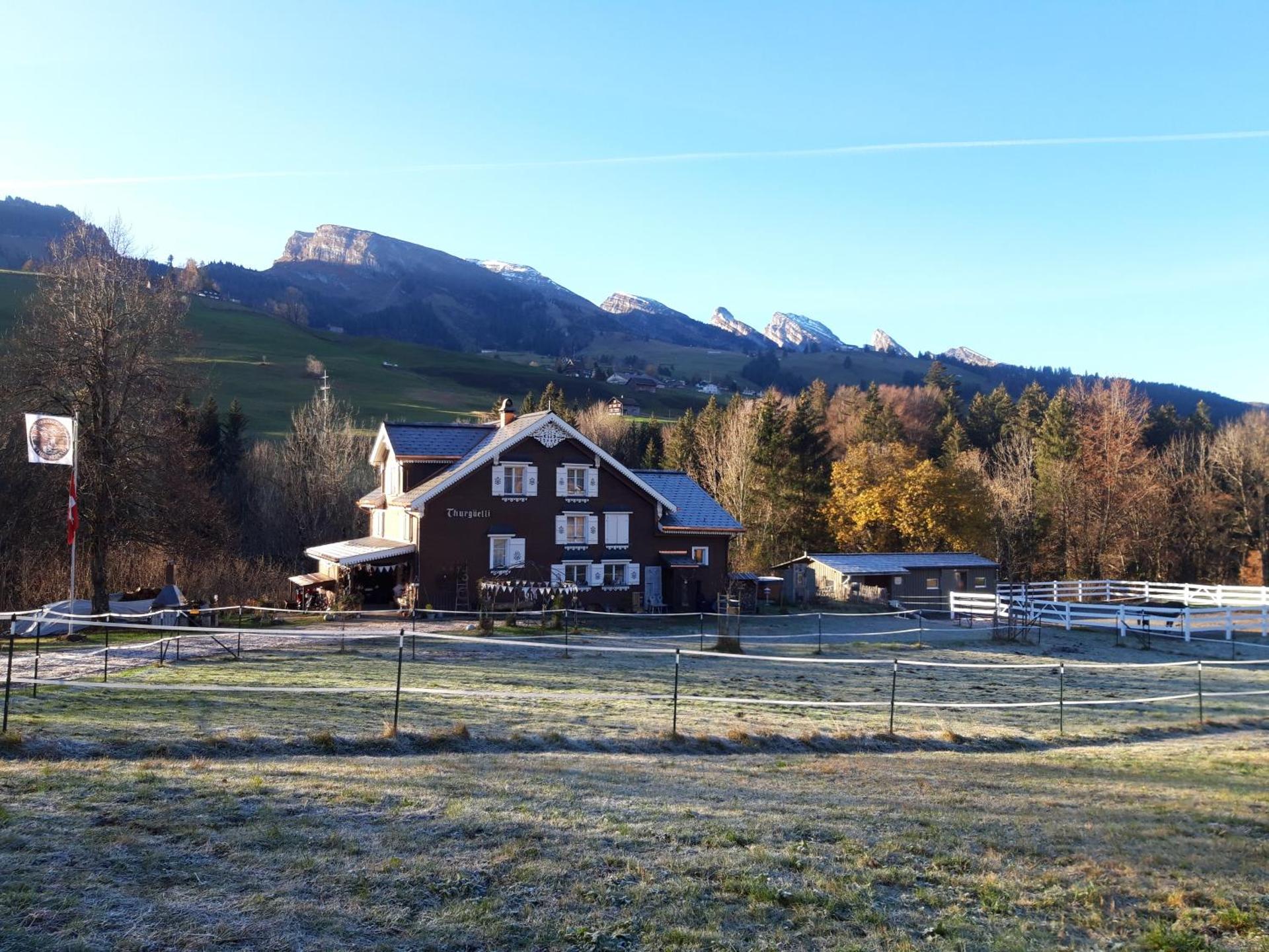 Studio Chic Wildhaus