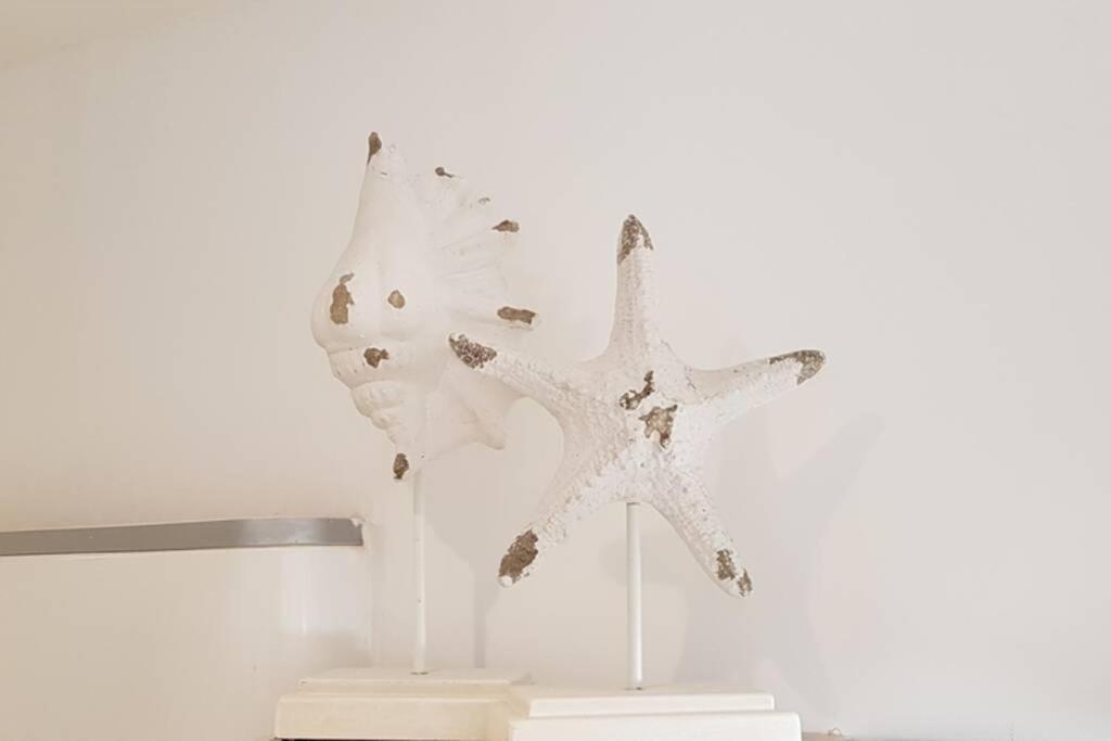 BANDOL Magnifique appartement en RDC cour sans vis à vis 5mn plage