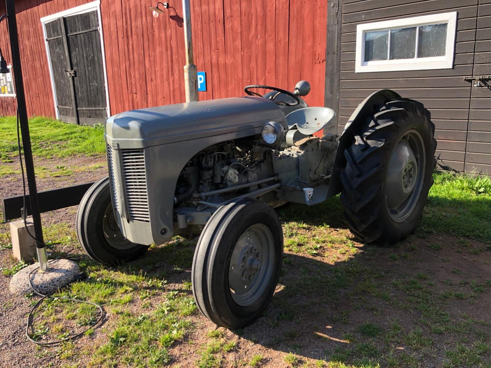 Musteriet i Djursdala