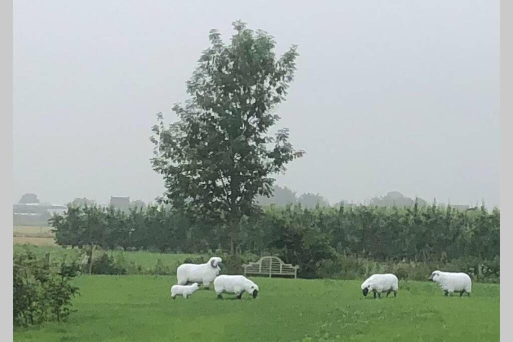 Gastenhuis prachtige Historische Vierkant Hoeve