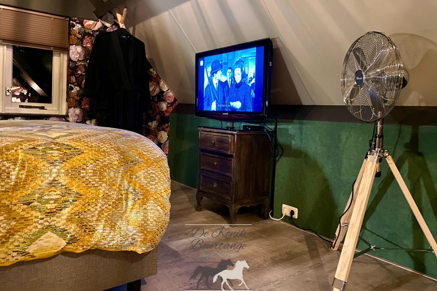 B&B De Konik Bourtange