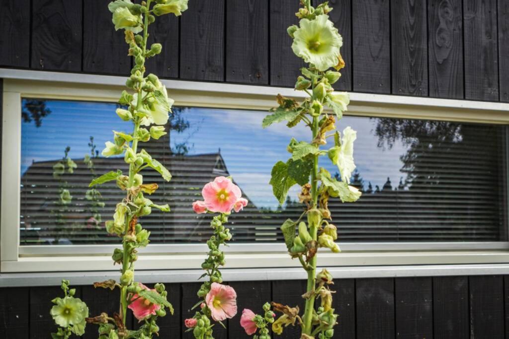 Ermerhoek, in de Hof