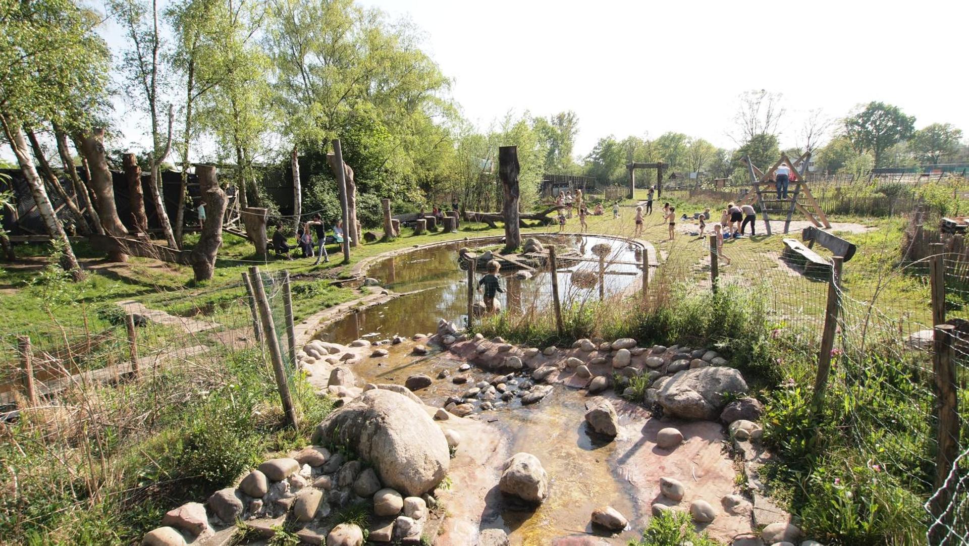 Children play ground