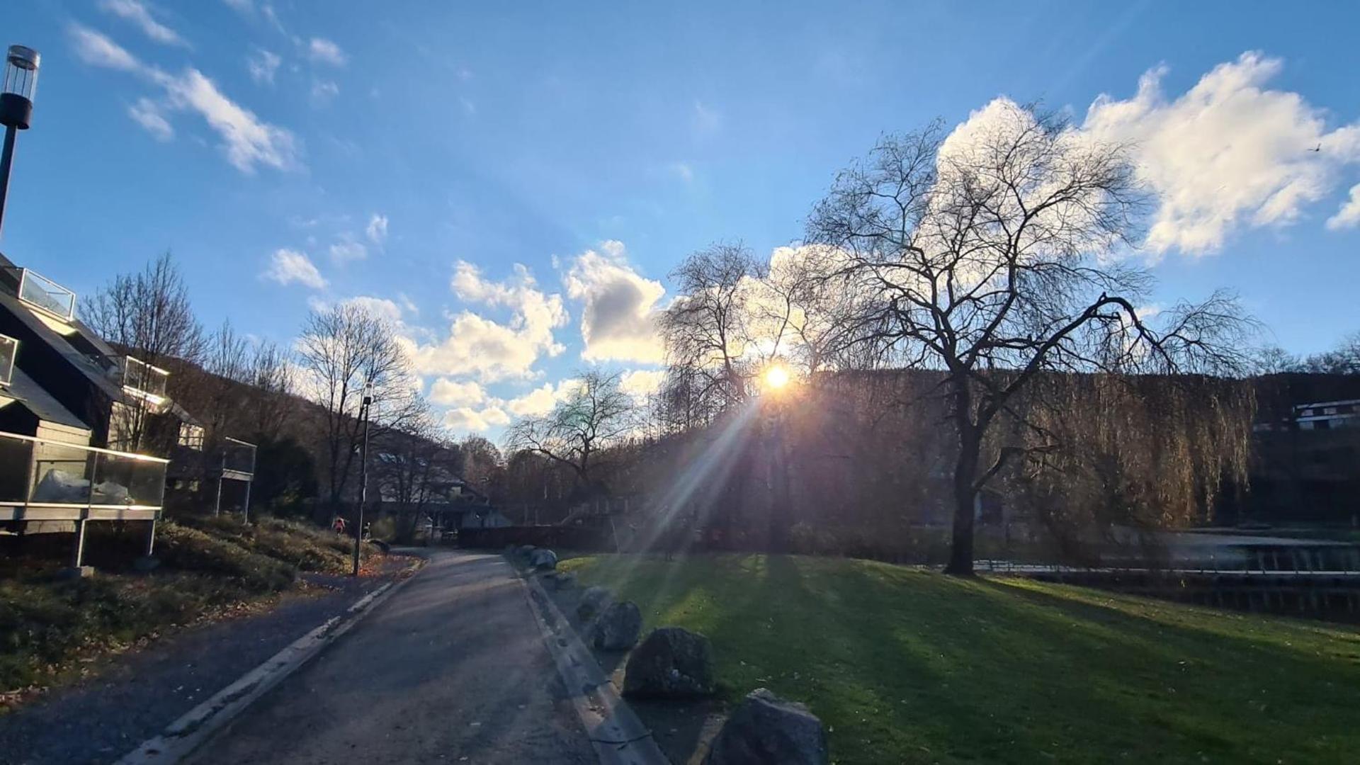 Le Salmoyard, studio au bord du lac à Vielsalm