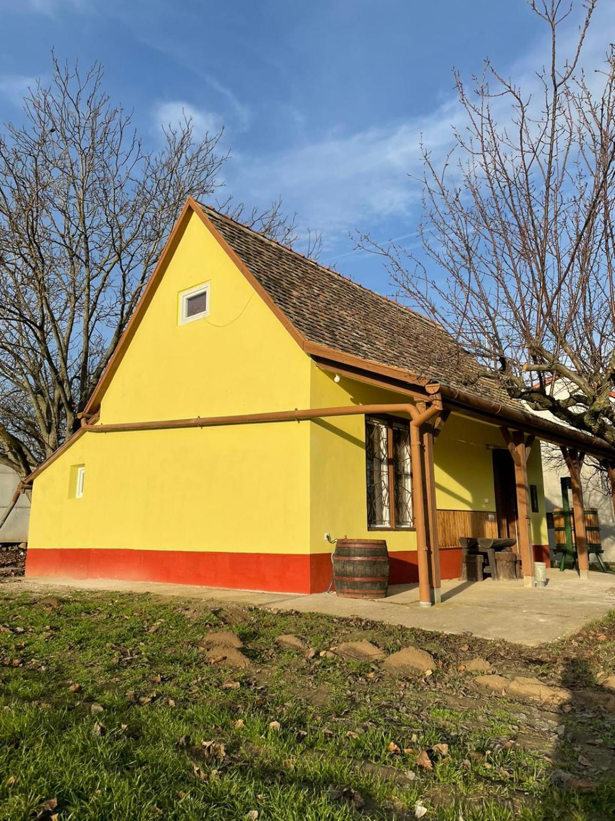 Het Hongaarse Wijnhuis