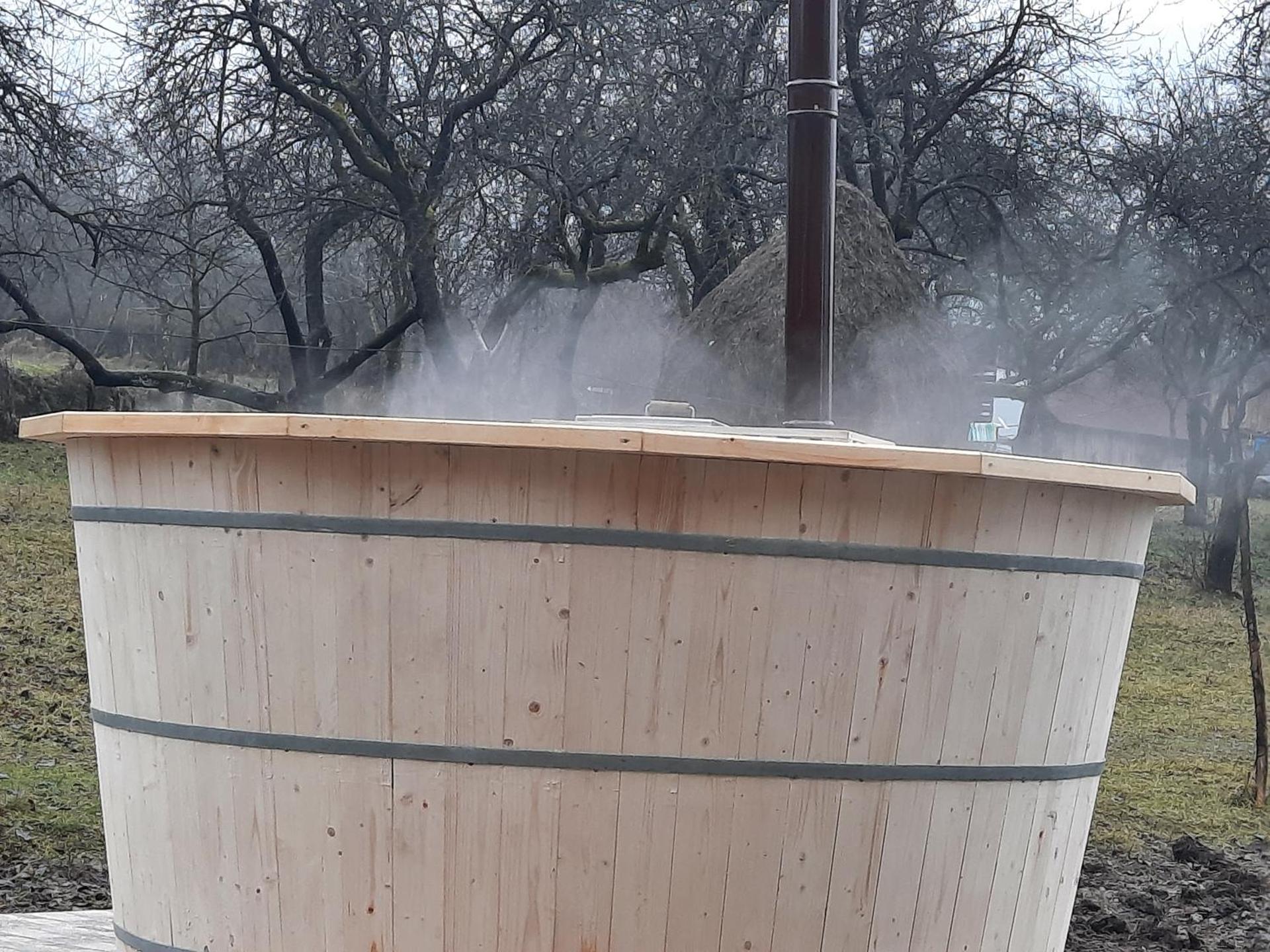 Casa Maramureșeană Larisa