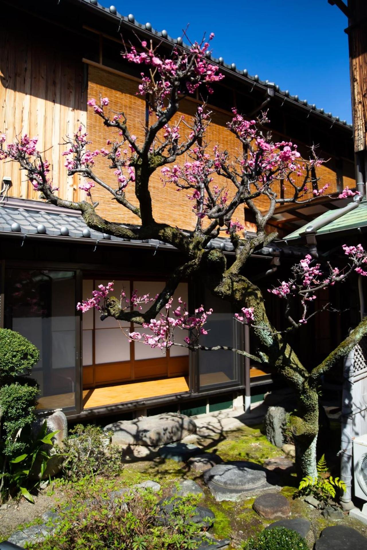 阿美弥 一日一組様限定