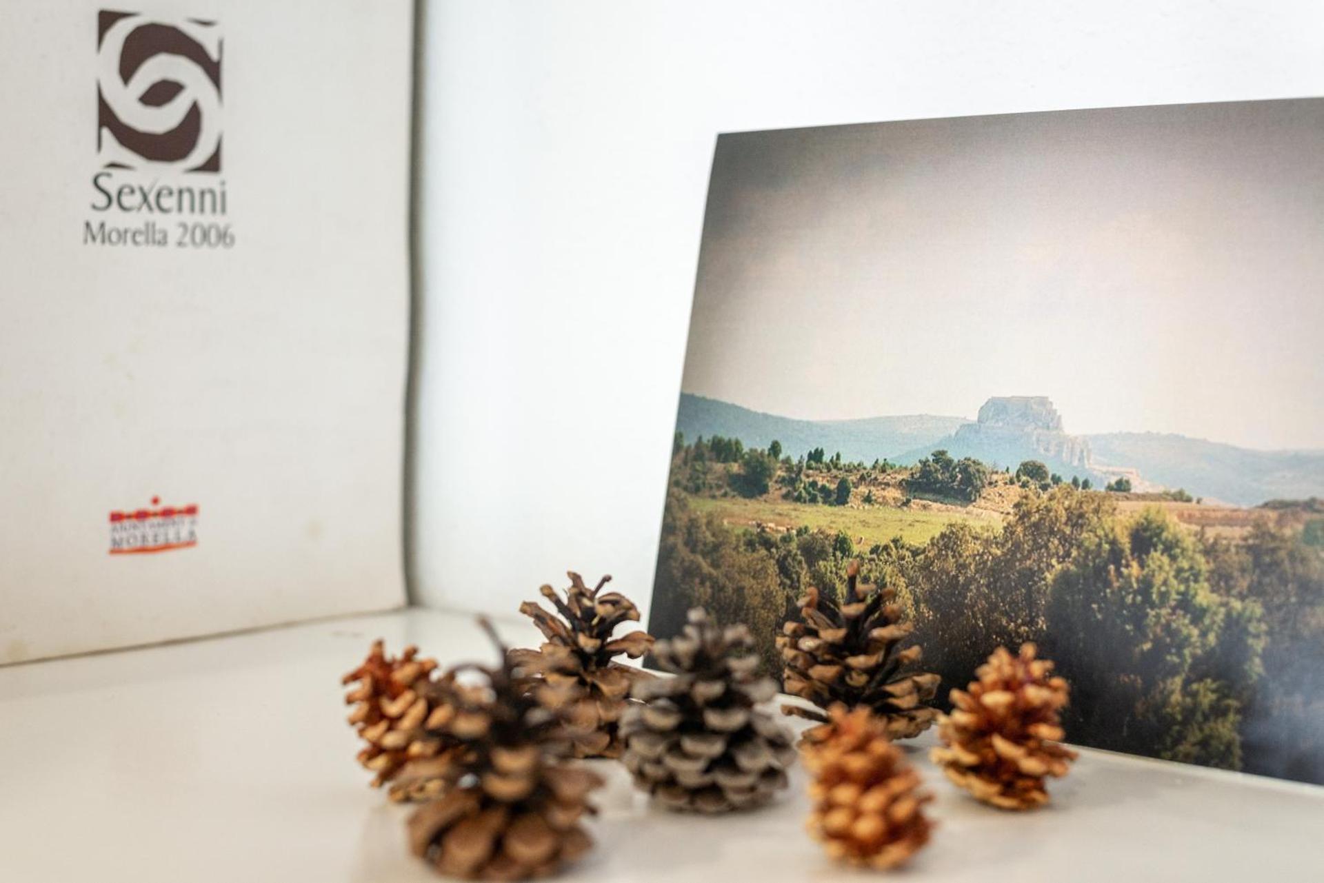 Apartamento Rural New Folch