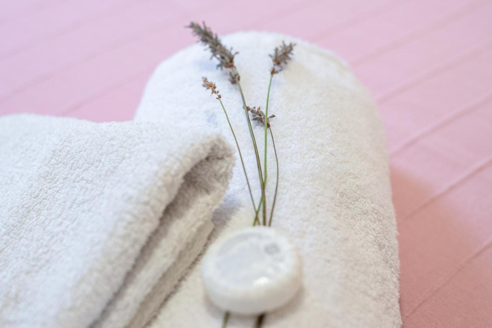 Apartamento Rural New Folch