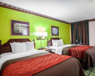 Efficiency Queen Room with Two Queen Beds - Non Smoking 