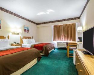 Efficiency King Room - Non Smoking