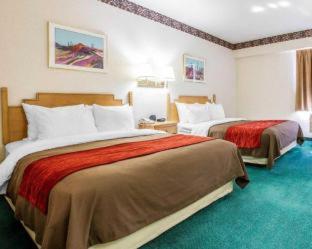 Efficiency King Room - Non Smoking