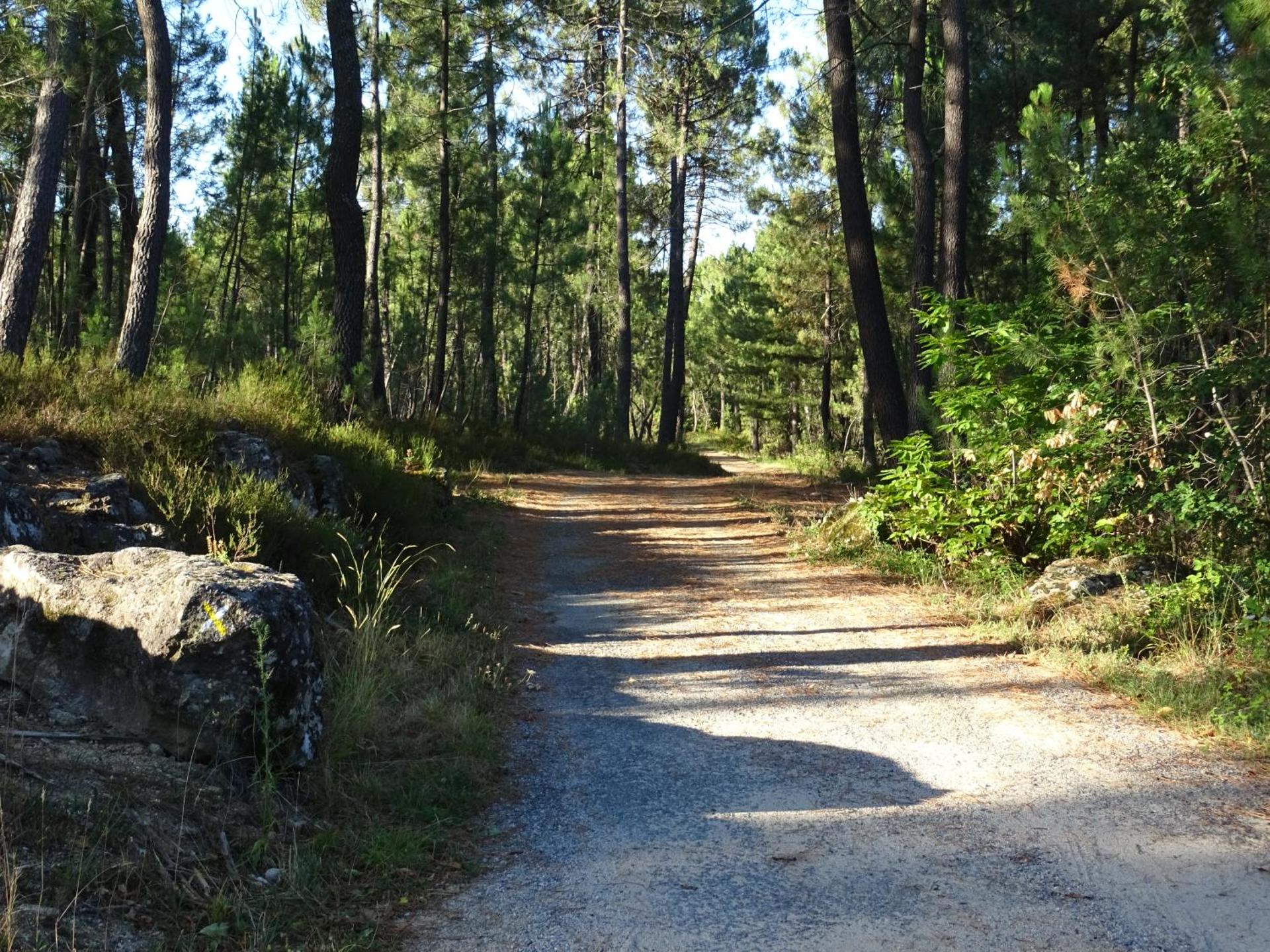 Domaine des hauts de Vernon