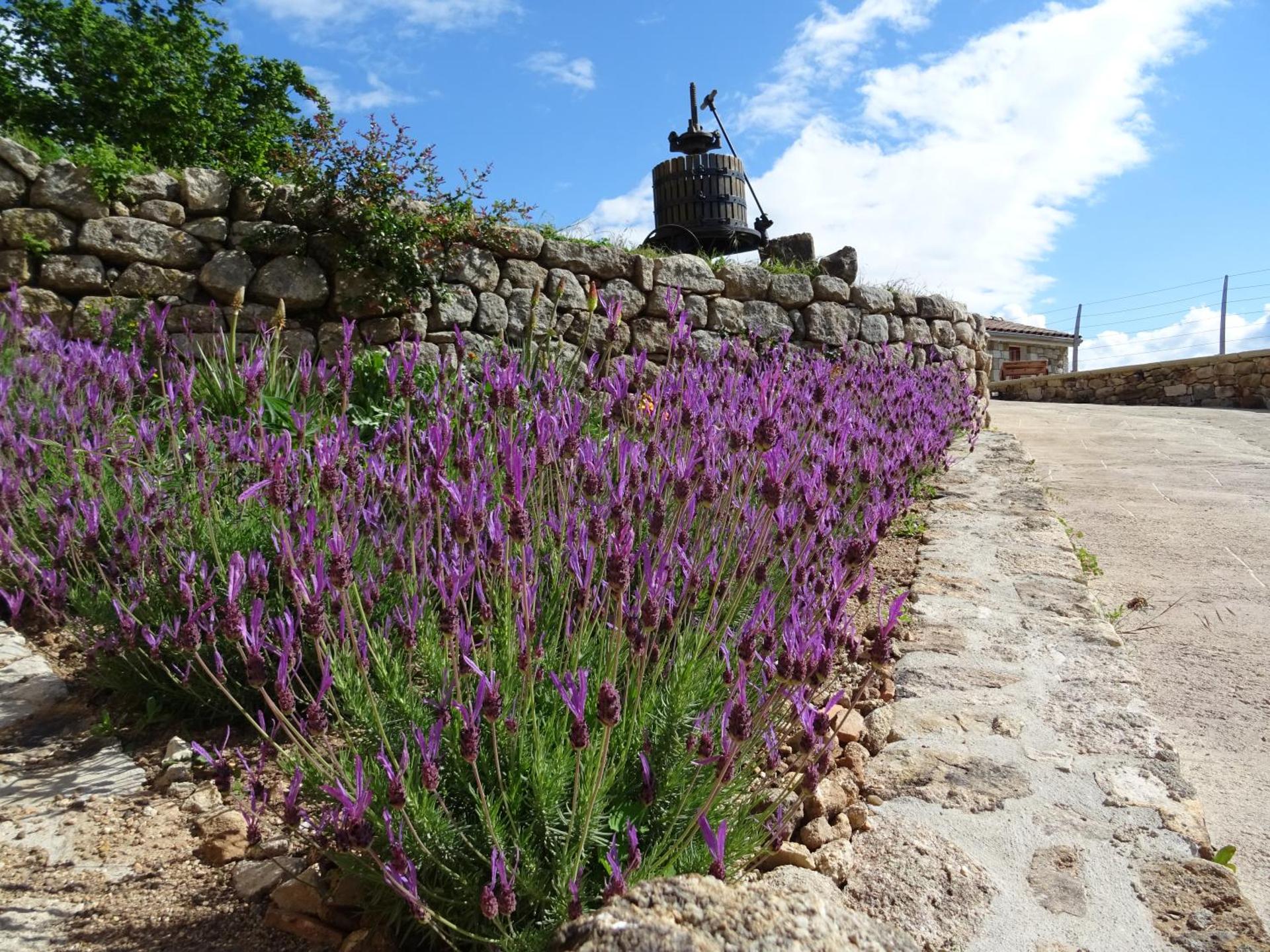 Domaine des hauts de Vernon