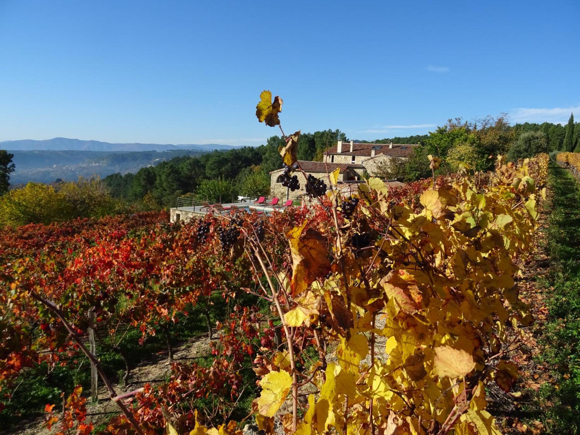 Domaine des hauts de Vernon