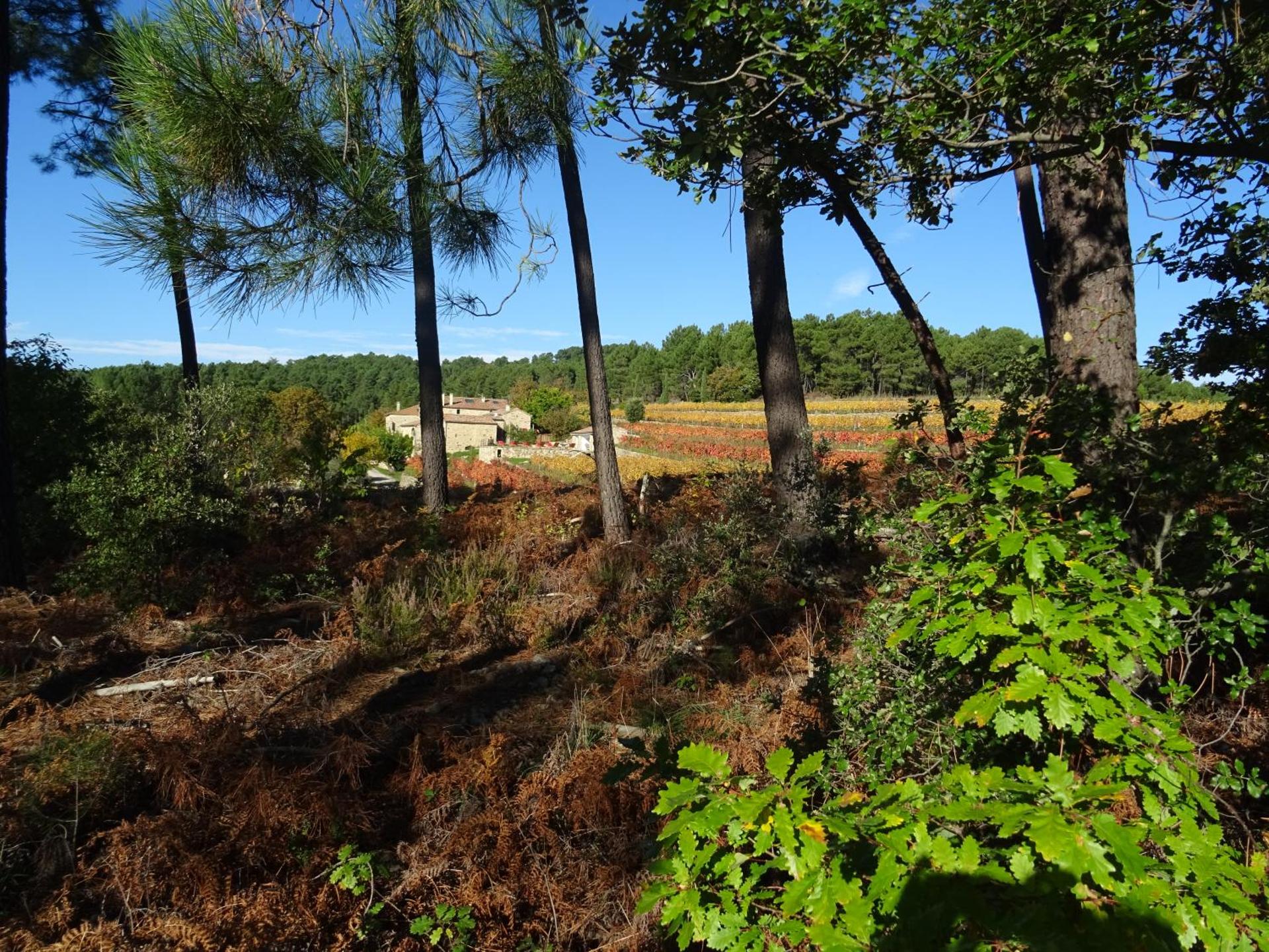 Domaine des hauts de Vernon