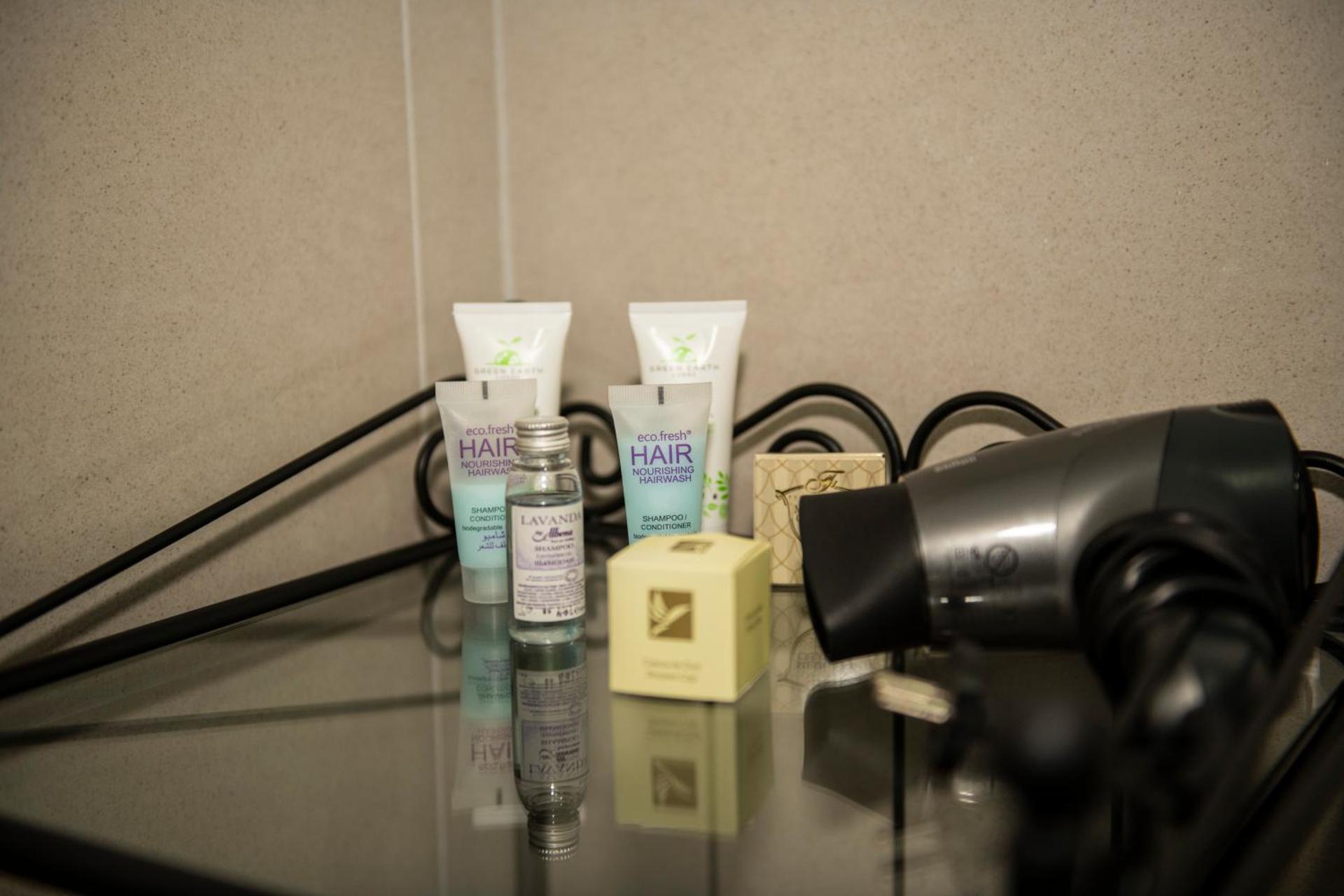 Raphael Apartment North Bucharest Cosmopolis