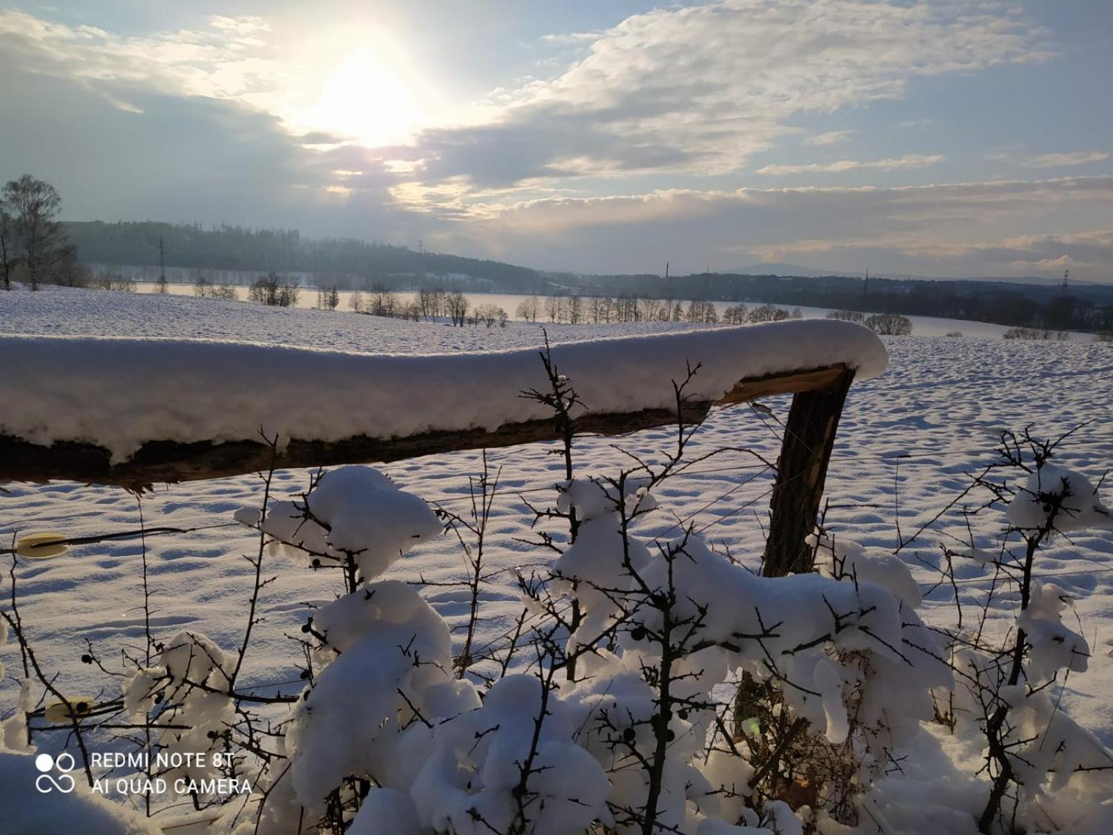 Apartmán se zahradou v Protivíně č.2