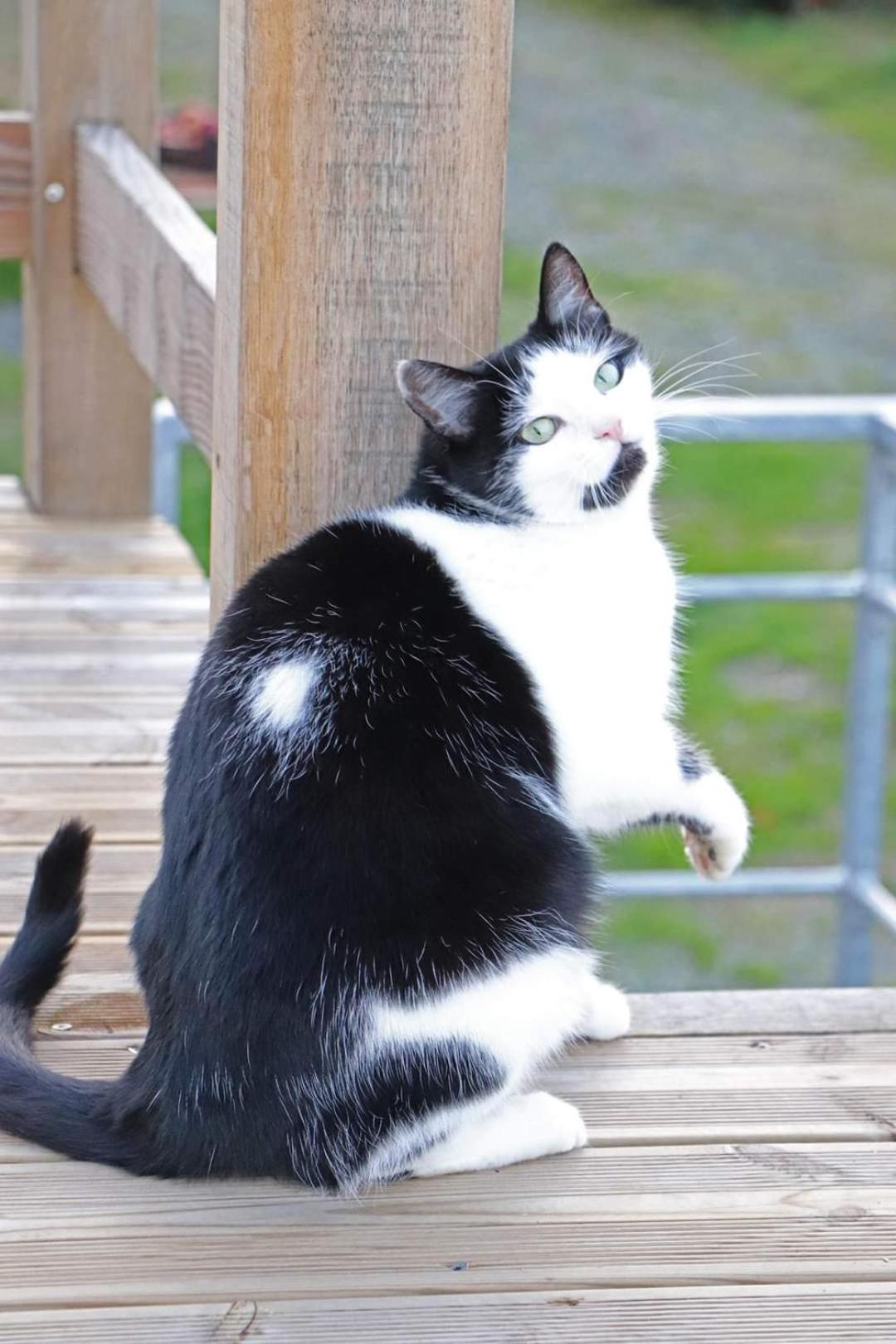 Le Fiege gîte cosy et confort