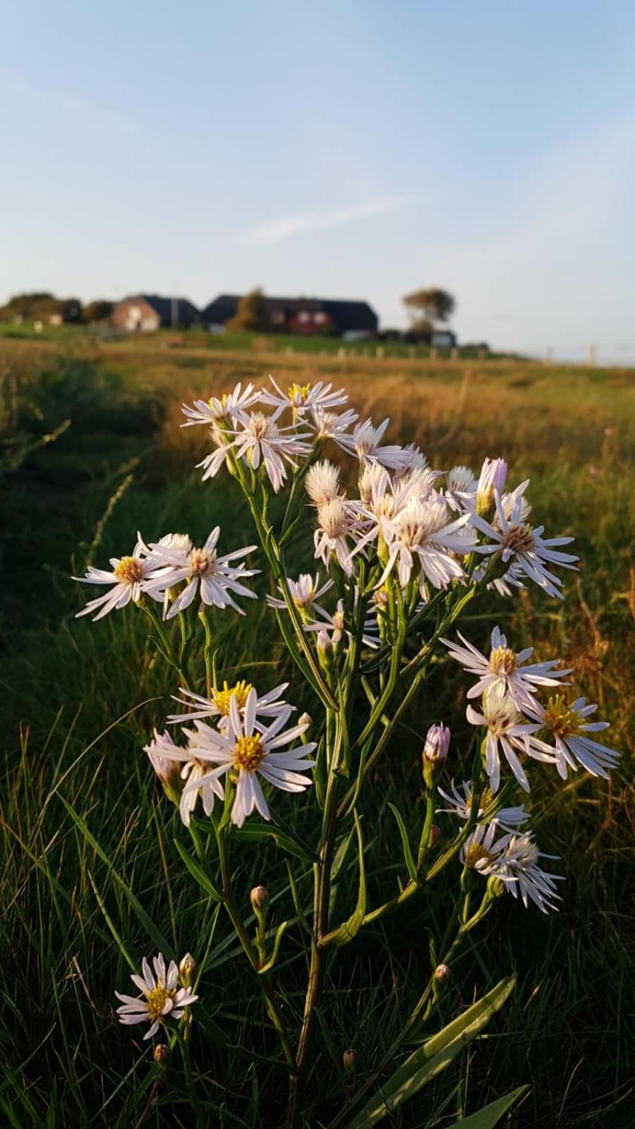 HaRe Ferienwohnungen