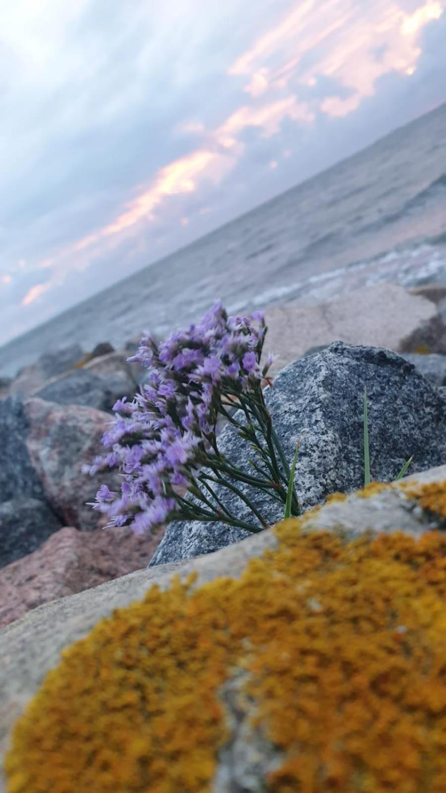 HaRe Ferienwohnungen