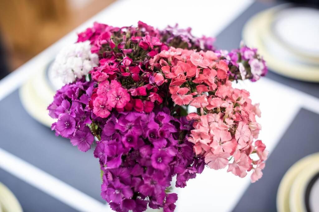 Apartman Angie in the centre of Metkovic