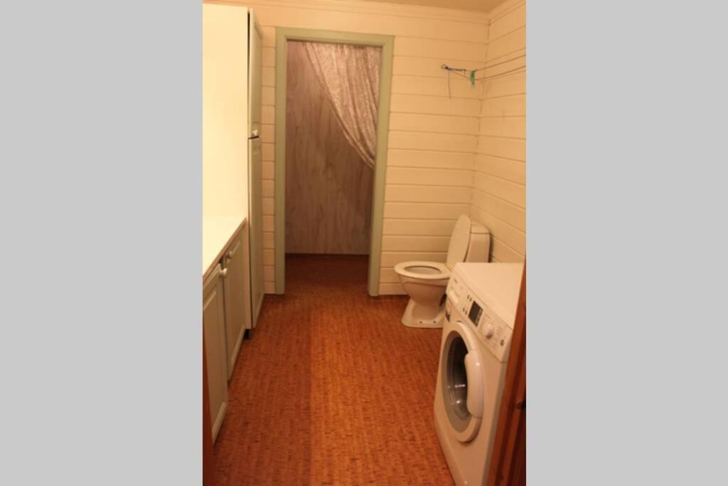 Bergfosshytta 1 sør