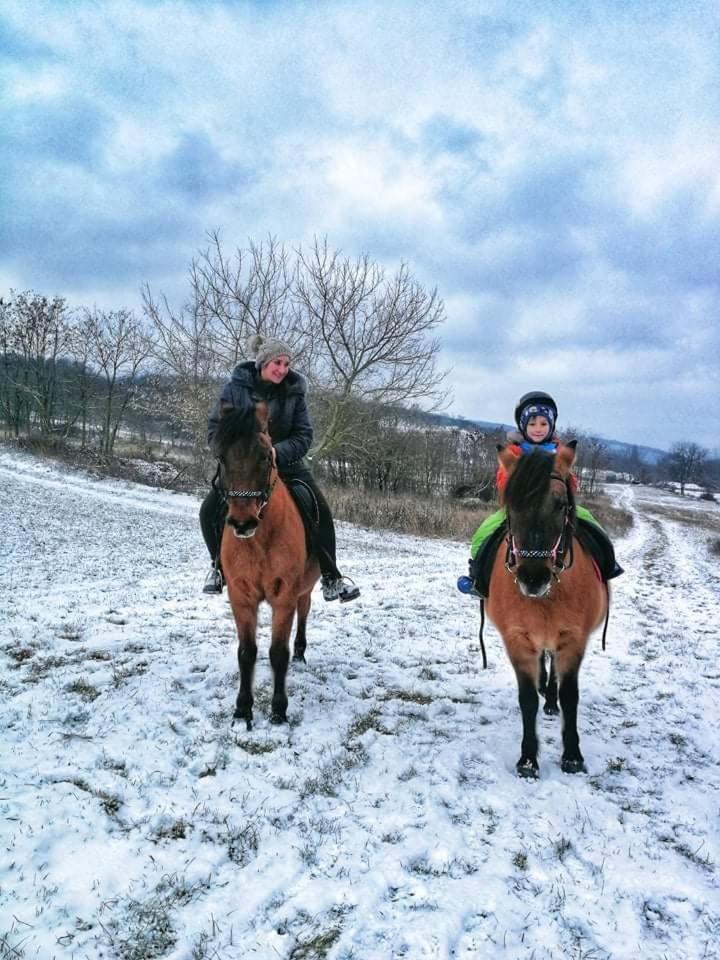 Patakpart Vendégház