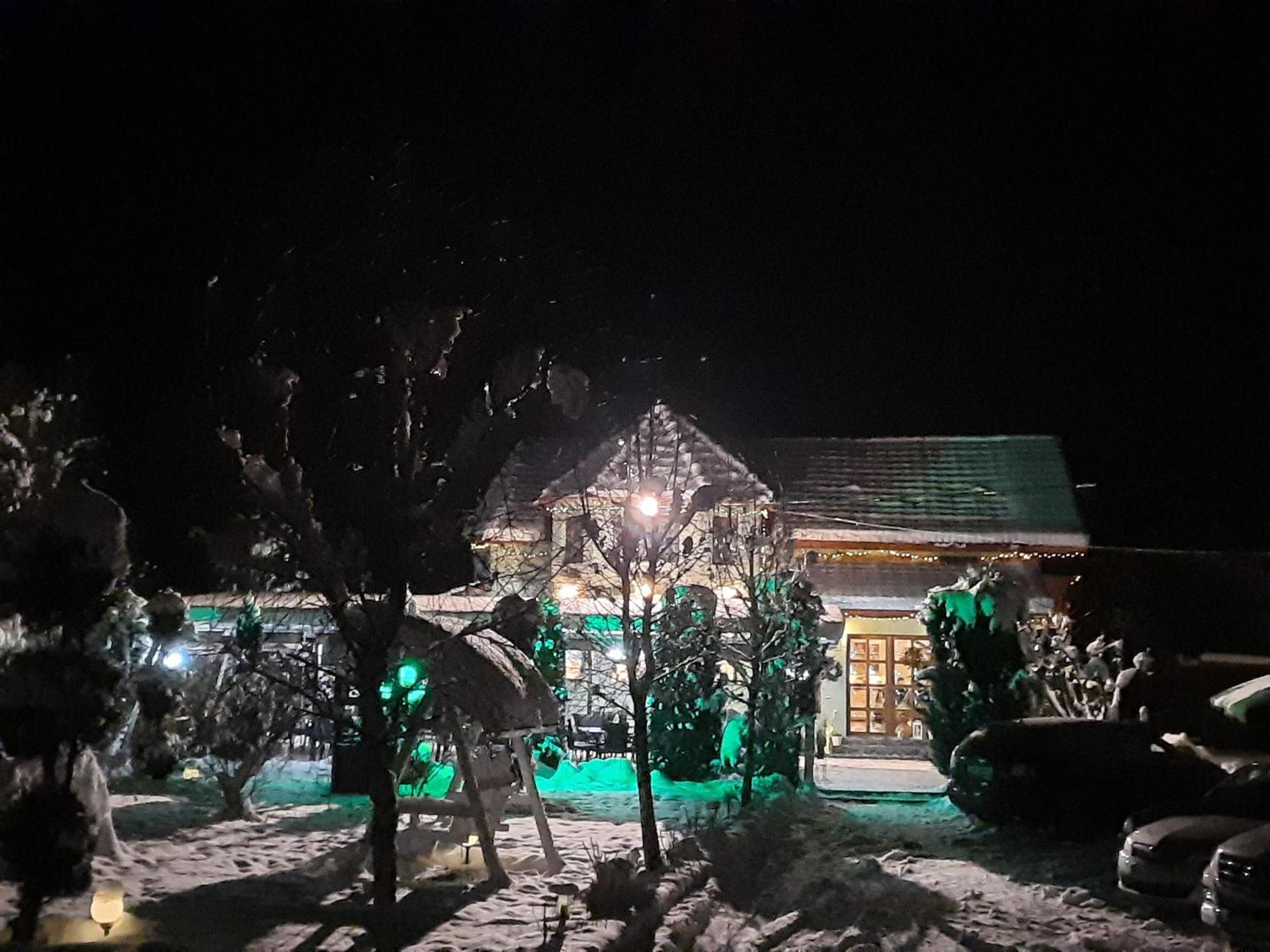 PENSIUNE RESTAURANT POIANA AVRIGULUI loc de joaca pentru copii