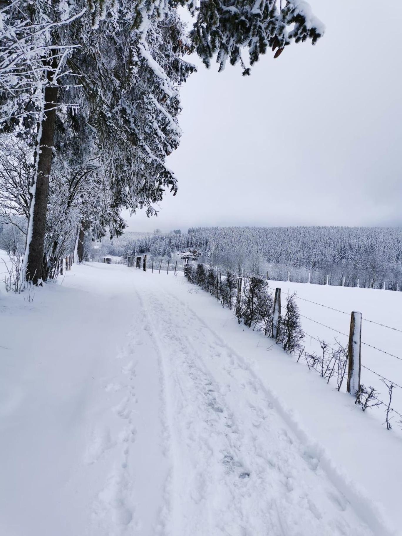 Chalet Le Grand Cerf