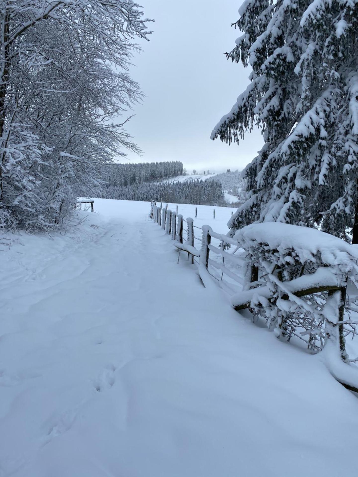 Chalet Le Grand Cerf