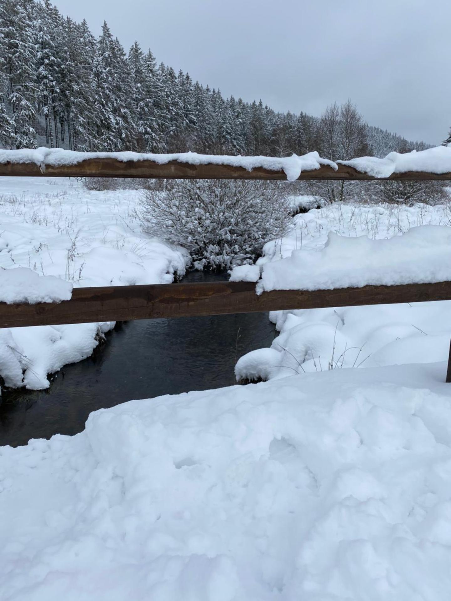 Chalet Le Grand Cerf