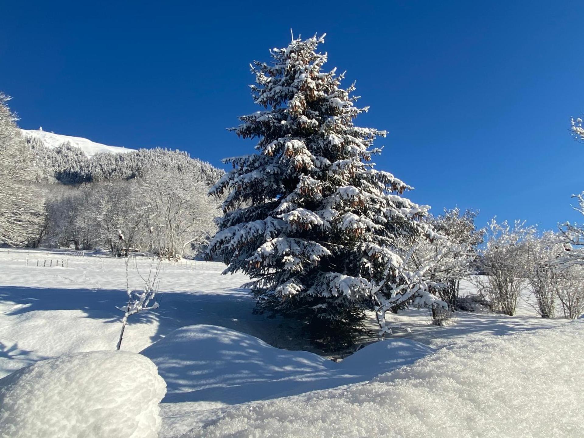 Micro-lodge, Jardin Secret