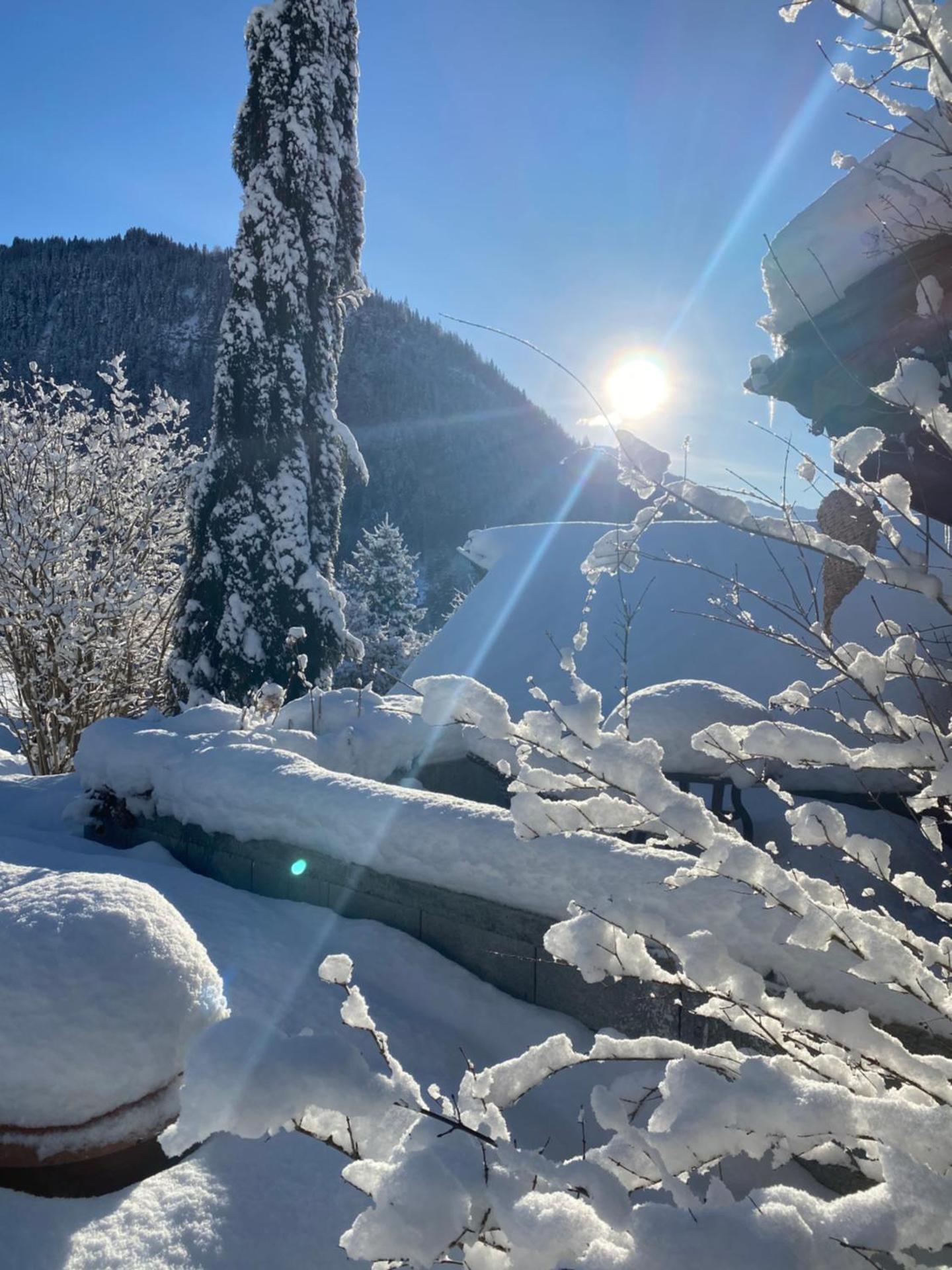 Micro-lodge, Jardin Secret